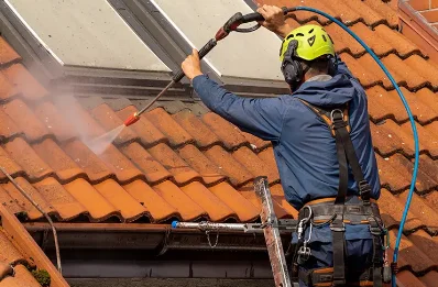 Démoussage et hydrofuge de toiture à Nécy